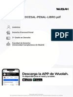 Apuntes Derecho Procesal Penal