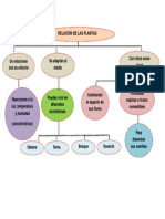 Relación de Las Plantas