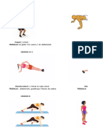 Exercicis Gimnastica