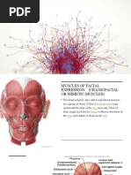Anatomy and Structure of Lips | PDF | Lip | Human Anatomy