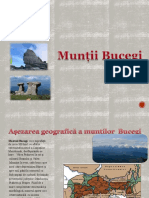 Muntii Bucegi Simula