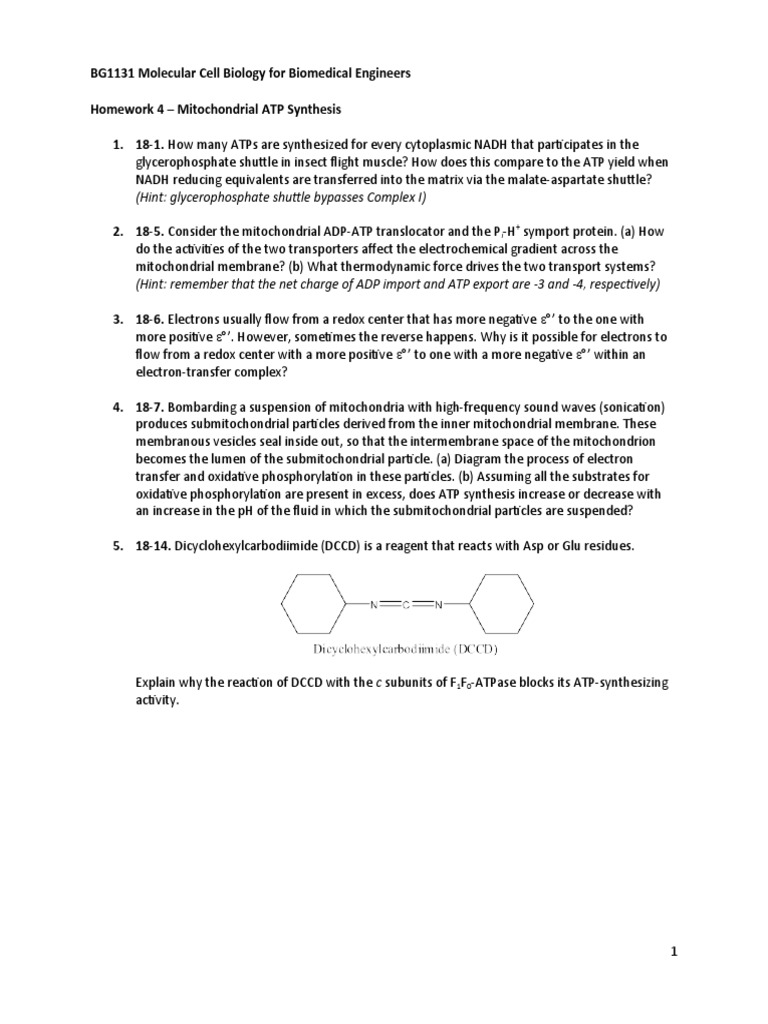 Hint glycerophosphate shuttle bypasses complex i pdf