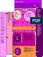 Planilla Modelo Bifocal