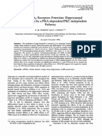 Adenosine A3 Receptors Potentiate Hippocampal Calcium Current by A PKA-dependent PKC-independent Pathway