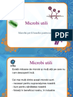Senior Useful Microbes Presentation