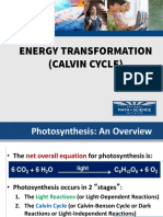 Photosynthesis Calvin Cycle Light Independent Reactions