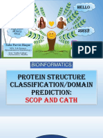 Protein Structure Classification/domain Prediction: SCOP and CATH (Bioinformatics) .