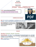 Lec 6 Endo