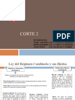 Ley del Régimen Cambiario y sus ilícitos: tipos de delitos cambiarios y obligación de declarar divisas