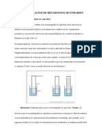 Caracterización metabolitos TLC