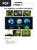 anatomie-de-la-paroi-abdominale-et-de-l-aine-pdf-p-ritoine-abdomen