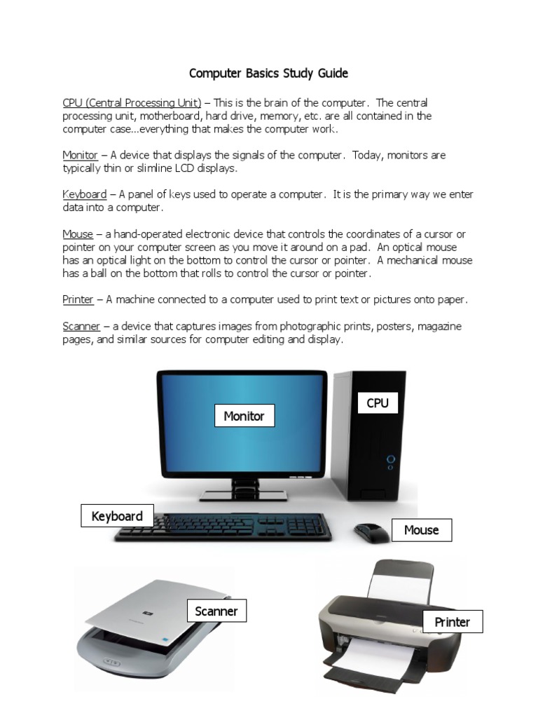 Computer Basics Study Guide PDF Operating System Computer Hardware