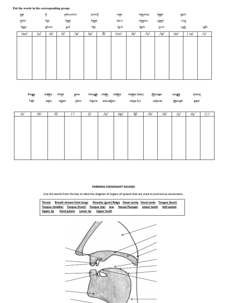 Consonant Vowel Sounds Ex Pdf