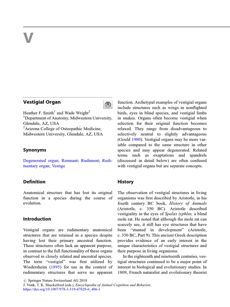 Understanding Vestigial Organs | PDF