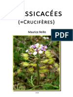3BRASSICACEES - INTERNET - 2018 Maurice Reilles Botanique