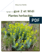 2plantes Herbacees 2018 Garrigue 2 Botanique Maurice Reilles