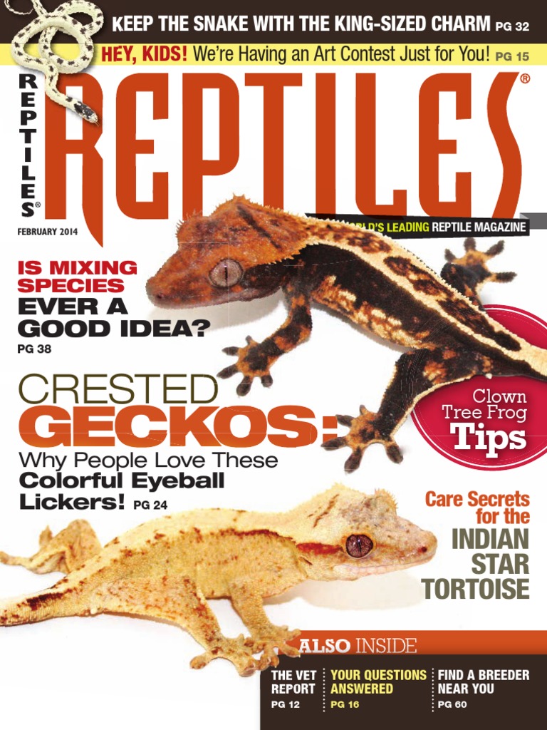 Thrive Sphagnum Reptile Moss, reptile Substrate & Bedding, PetSmart
