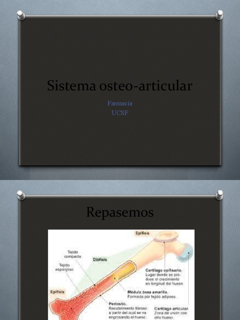 Sistema osteoarticular UCSF nuevo PDF Osteoporosis Hueso