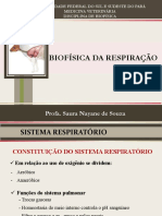 Aula 8 - Sistema Respiratorio