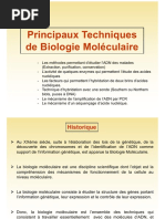 Définition et principe du RFLP | PDF | Réaction en chaîne par ...