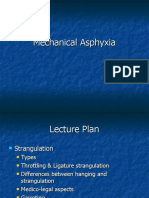 Mechanical Asphyxia 3 - Strangulation, Throttling