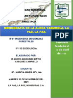 Monografía de Yarumela IF-202175 - Edwuard - Vasquez UNACIFOR