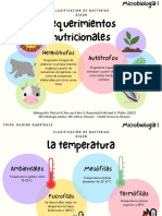 Clasificación de Bacterias.