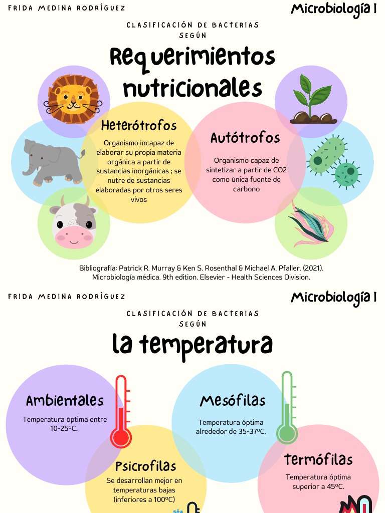 Clasificación de Bacterias. | PDF | Las bacterias | Química
