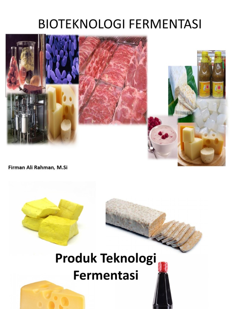 Bioteknologi Fermentasi PDF