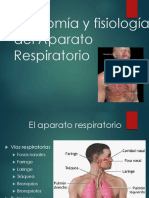 Aparato Respiratorio PDF