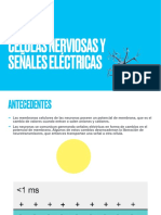 Células Nerviosas y Señales Eléctricas