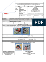 Anexo 15.3. Sst-Fo-15. Reporte de Actos y Condiciones Inseguras