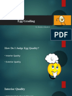 Egg Grading