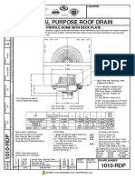 d1010 RDP