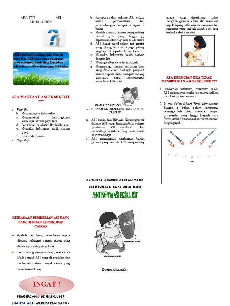 Leaflet ASI Eksklusif | PDF