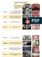 Anomalías dentales congénitas y adquiridas