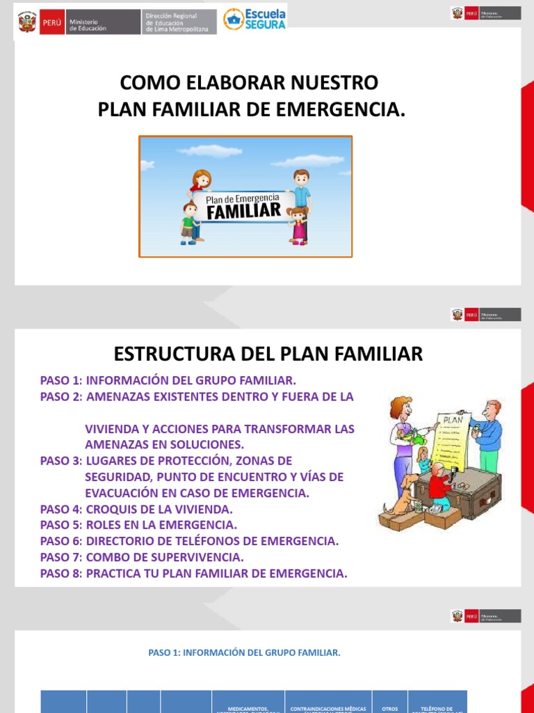 Elaboración de un Plan Familiar de Emergencia | PDF