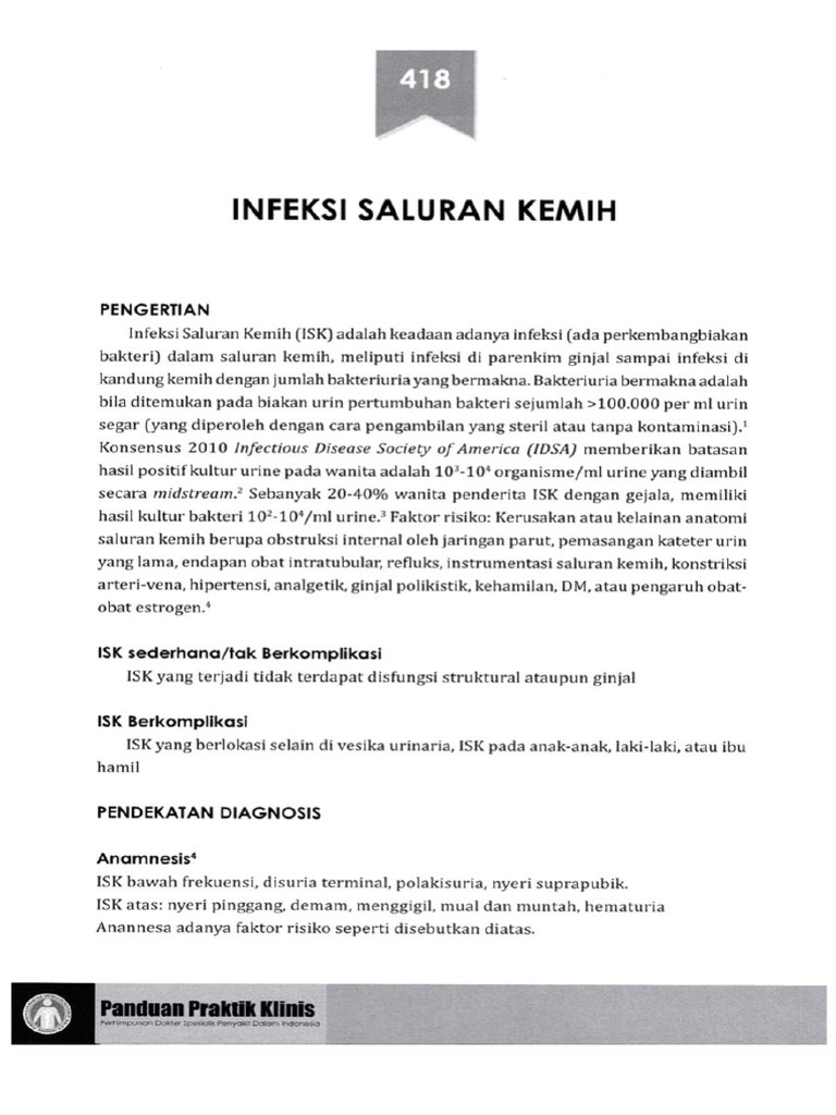 ISK | PDF