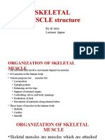 4-Lecture Skeletal Muscles Structure
