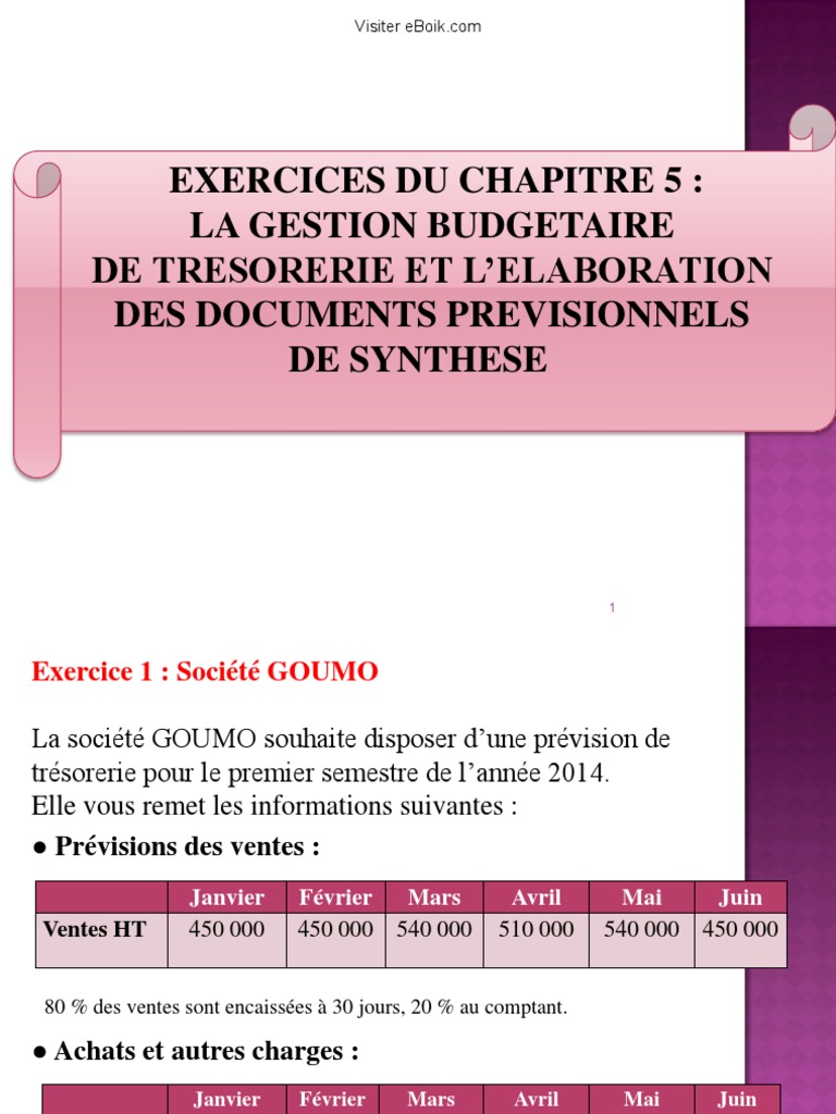 Gestion Budgétaire et Prévisions | PDF | Prêts | Salaires