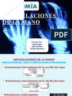 La Mano Anatómia