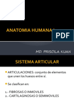 Anatomia Humana I