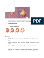 Rangkuman Hidronefrosis