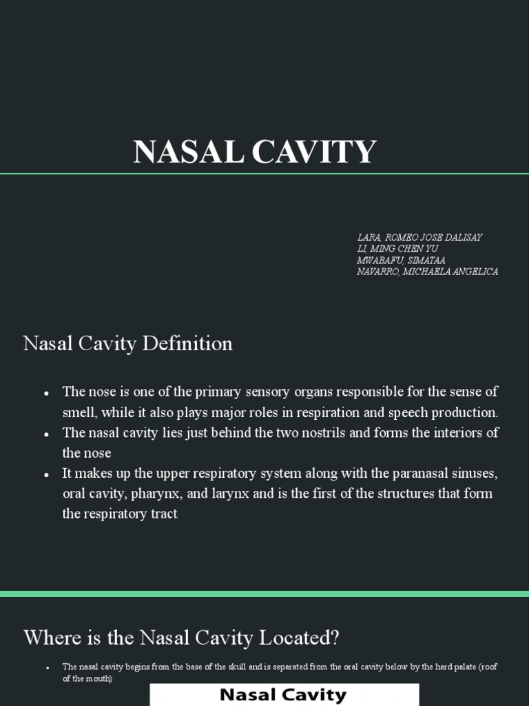Nasal Cavity Pdf , Anatomy and Physiology of the Human Nose – YNAVHY