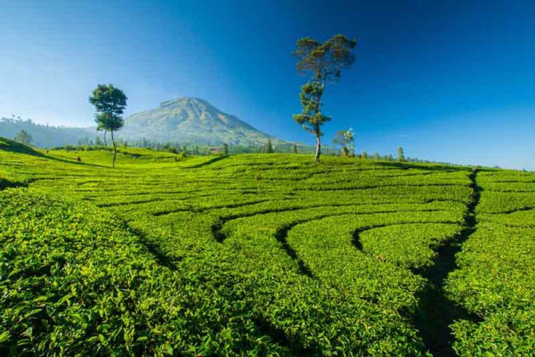 Wisata Alam Di Jawa Barat | PDF