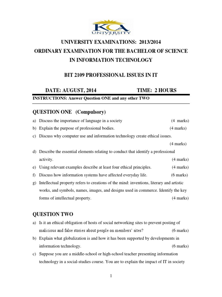 Professional Issues in IT and Society | PDF | Brain | Information