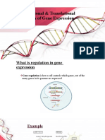 L1 - Transcriptional & Translational Regulation of Gene Expression