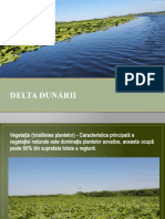 Delta Dunării