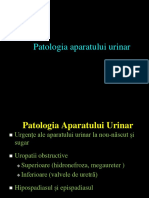 Curs 3 HIDRONEFROZA Si Urgente Ale Ap Urinar