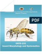 Insect Morphology & Systematics